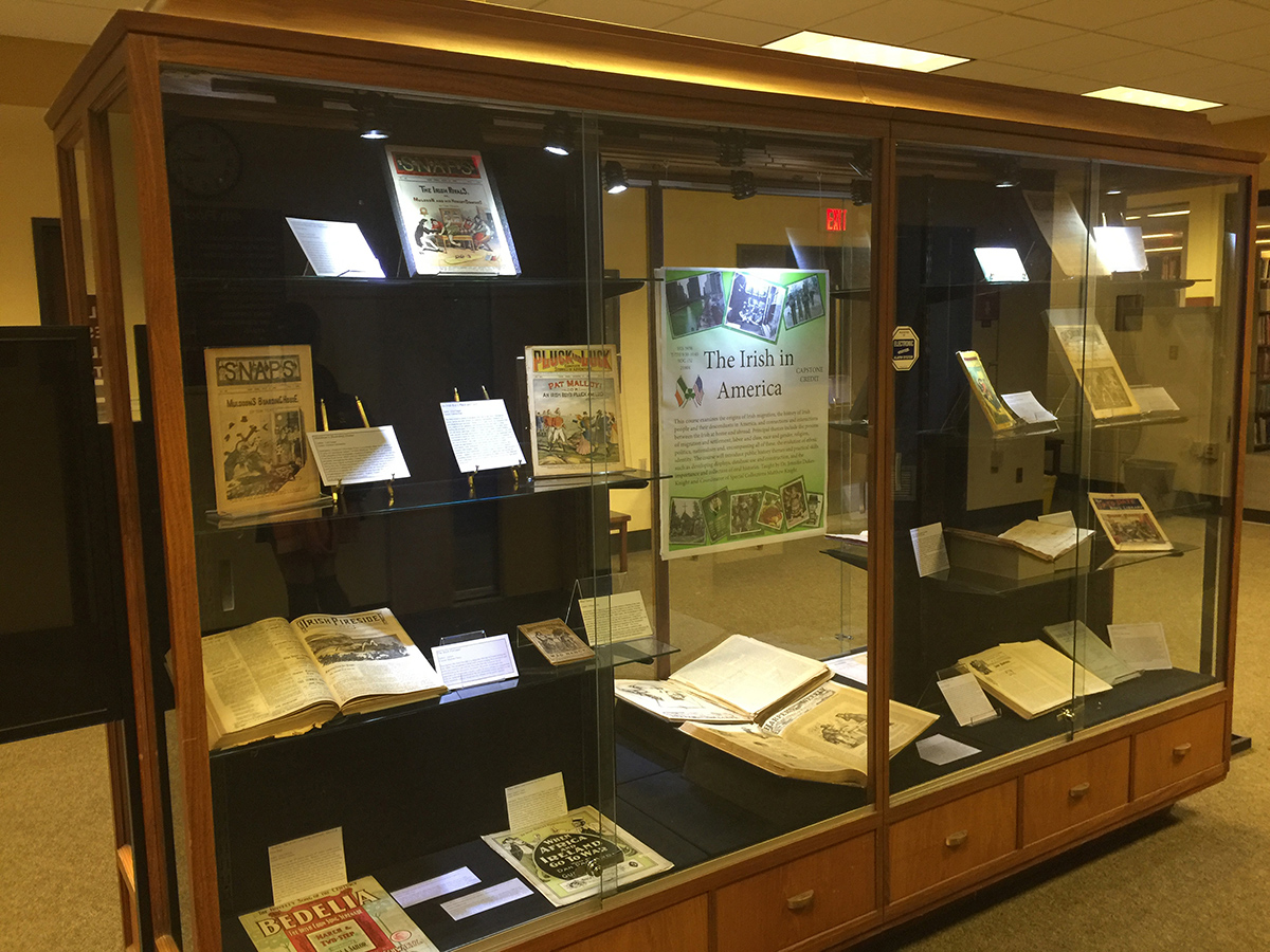book case display in the library