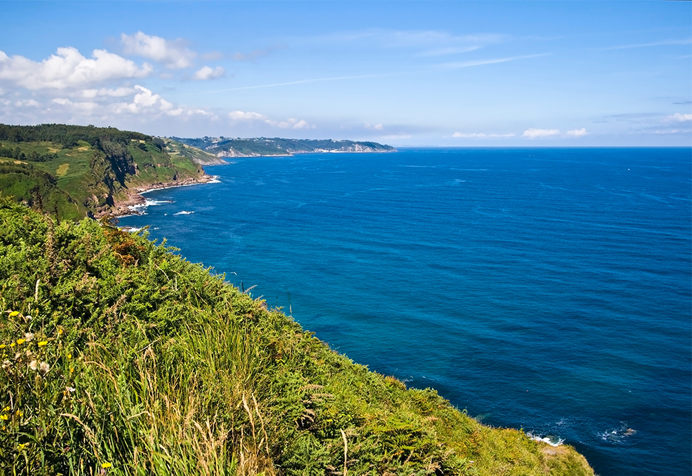 green coastline beside blue body of water