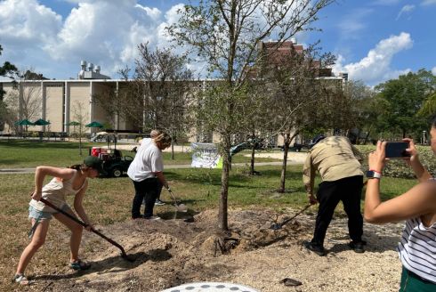 USF Tree Committee members take part in Arbor Day celebration, planting trees across USF Tampa campus. (Photo by Michelle Holden)