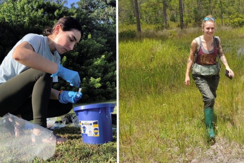 Left: USF College of Arts and Sciences conservation biology master’s student Emily Birdsall collects samples in the field. Right: USF College of Arts and Sciences conservation biology master’s student Jessalyn Aretz.