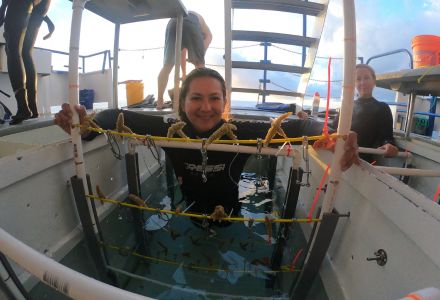 Preparing coral fragments for transport in the live-well of Shedd Aquarium’s research   vessel, the Coral Reef II