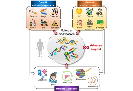 Illustration of molecular modifications (Graphic courtesy of Dr. Marcus Cooke).