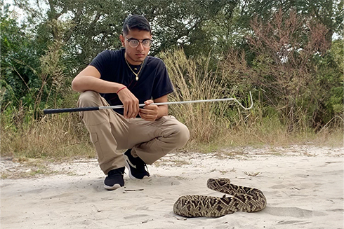 USF graduate student Shiv 'Snakeman' Shukla travels to field sites to test snakes for Ophidiomyces, a fungus that can cause death in snakes.