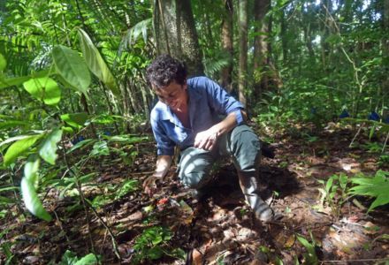 Dr. Zalamea recovering buried seeds. (Photo courtesy of Rodrigo Arangua, AFP)
