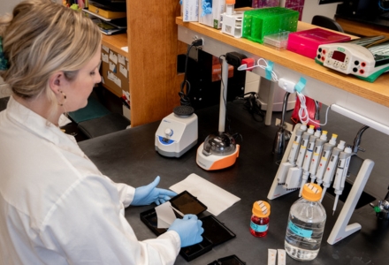 MBS PhD student Alexis Coiner is investigating hepatic epigenetic mechanisms of alcohol use disorder in vivo and in vitro utilizing novel techniques in mass spectrometry, immunofluorescent microscopy, flow cytometry, and qRT-PCR. (Photo by Alessandra Casanova)