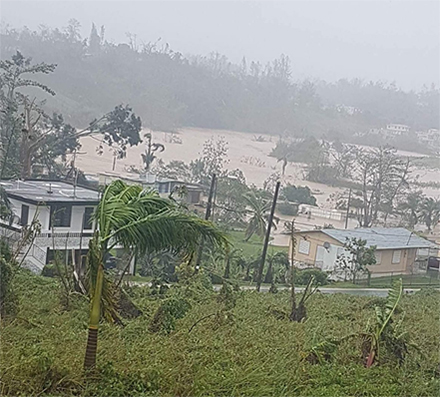 Photo of a flooded area captured by an interviewee from their home. (Photo courtesy of Dr. Elizabeth Aranda)
