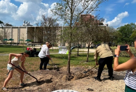 USF Tree Committee members take part in the Arbor Day celebration, planting trees across the USF Tampa campus. (Photo by Michelle Holden)