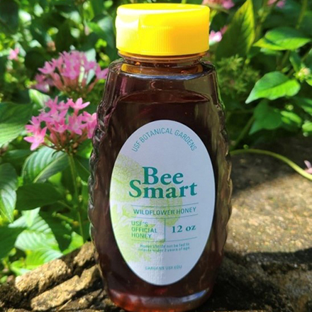 An early design of the USF Apiary ‘Bee Smart’ Honey. (Photo courtesy of Nicole Brand)