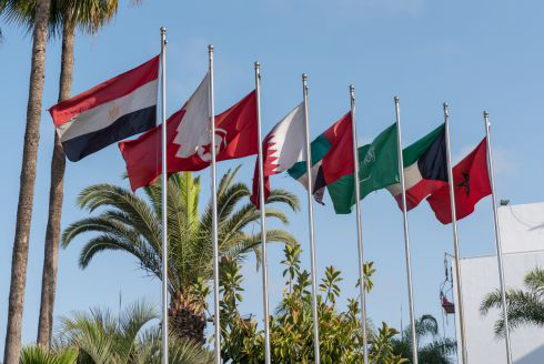 international flags on poles in a row