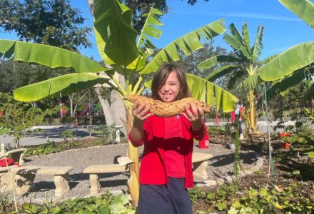 Student proudly showing a large sweet potato harvested from the garden they nurtured. (Photo by Marcela Munoz Marin)