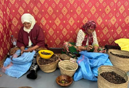 Moroccan women preparing argan kernels for processing. (Photo courtesy of Tara Deubel)