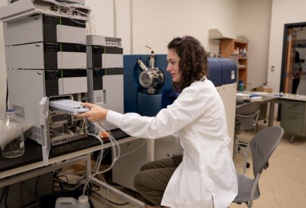 A student working in the USF Oxidative Stress Group lab. (Photo by Alessandra Casanova)