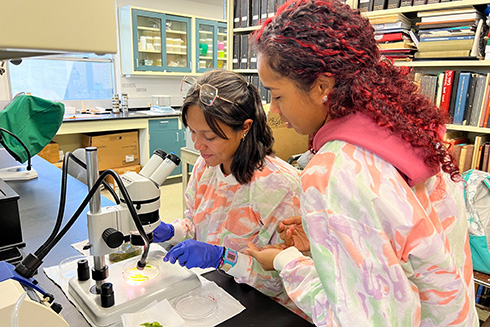 Xiomara Cruz and Juleika Vega Perez attend the University of Puerto Rico and are participating in the summer REU program at USF.