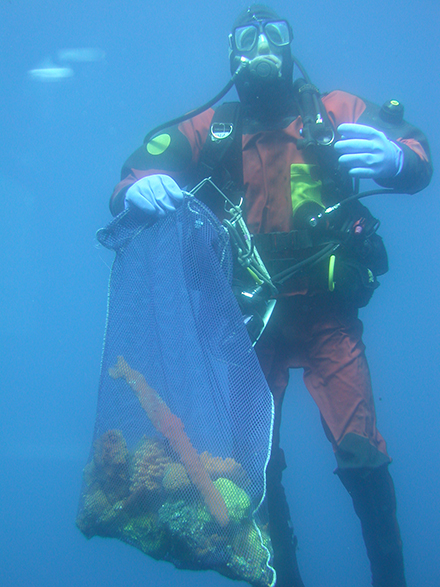 Team member Dan Martin heading back to the boat from a successful collecting dive near Palmer Station. (Photo courtesy of Bill Baker)