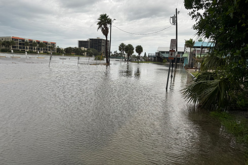 The CRIS-HAZARD app allows users to upload pictures such as this one posted on September 26, 2024 near St. Pete Beach.