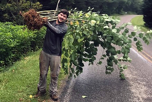 Field collection of invasive knotweed in the U.S. (Photo courtesy of Christina Richards)