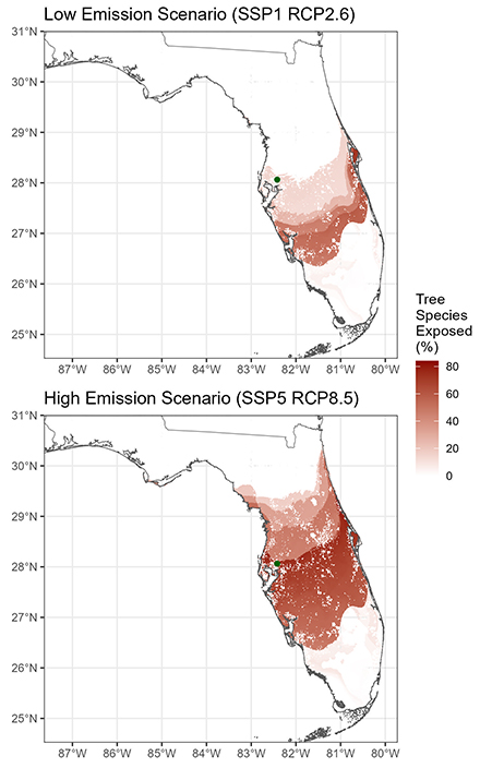 Maitner and his collaborators use maps like this to gauge the potential number of tree species that could be impacted by environmental changes in a given area. (Image courtesy of Brian Maitner)