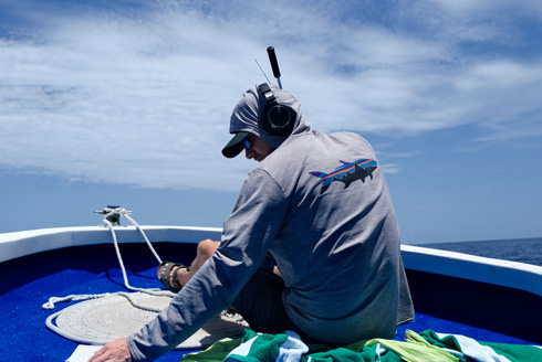 Lucas Griffin, an assistant professor in the Department of Integrative Biology, is dedicating his research to uncovering how marine life navigate their habitats, overcoming both natural and human-induced challenges. His goal is to contribute to sustainability initiatives that protect marine ecosystems while supporting the communities that rely on them.