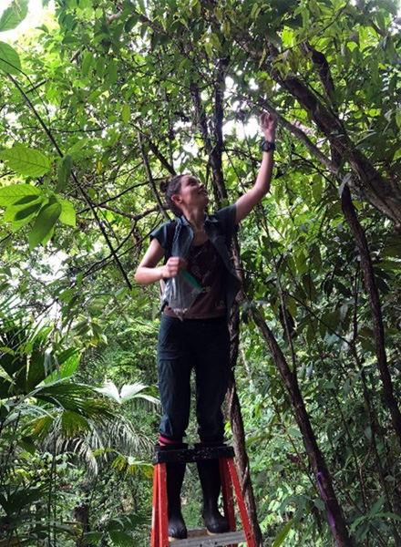 Quesada-Avila gathering fruit seeds for testing. (Photo courtesy of Quesada Avila)