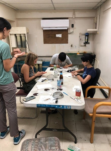 Quesada-Avila and colleagues cleaning collected seeds to prepare them for testing. (Photos courtesy of Quesada Avila)