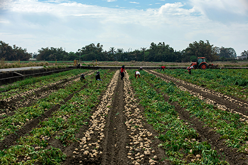 Farm work