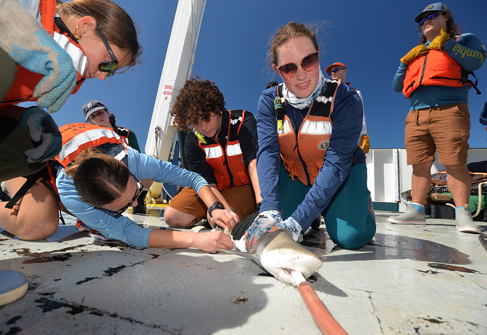 Every student was able to participate in each task while aboard the cruise. (Photo courtesy of Chase McGuire)