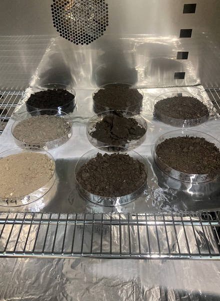 McGarrah’s sediment samples set for overnight drying. (Photo courtesy of Coen E.E. McGarrah)