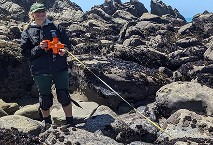 Marine biology undergraduate student Anna Soltys studying the health of sea urchins in Bodega Bay, California as part of the NOAA Holling Scholar program. (Photo courtesy of Anna Soltys)