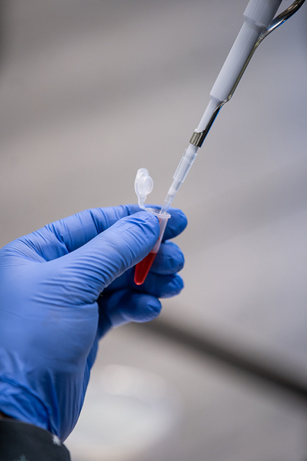 Lab