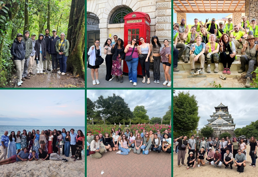 Collage of six photos showing USF CAS students in various study abroad settings: a forest trail, a British-style street with a red phone booth, an archaeological site, a beach, a flower-filled park, and a traditional Japanese castle.