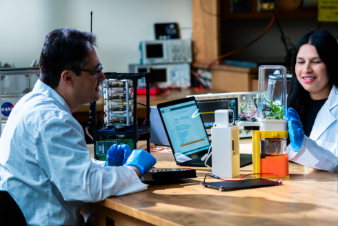 USF researchers testing space agriculture systems