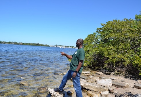 Richard Mbatu points across the water from a rocky, mangrove-lined shoreline in Tampa Bay