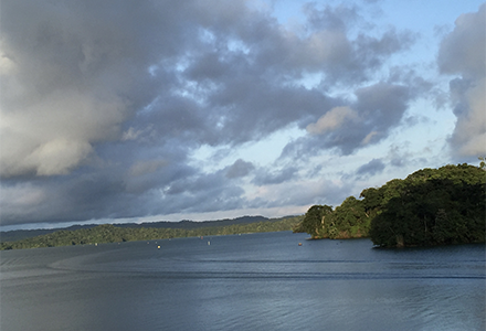 Barro Colorado Nature Monument, and Gatun Lake, Panama. Photo by Paul-Camilo Zalamea.