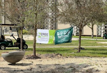 Banners showcasing USF Tree Campus Higher Education status. (Photo by Michelle Holden)