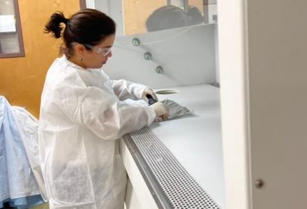 Dr. Borges processing samples in the laboratory during her Fulbright at USF. (Photo courtesy of Diane Wallman)