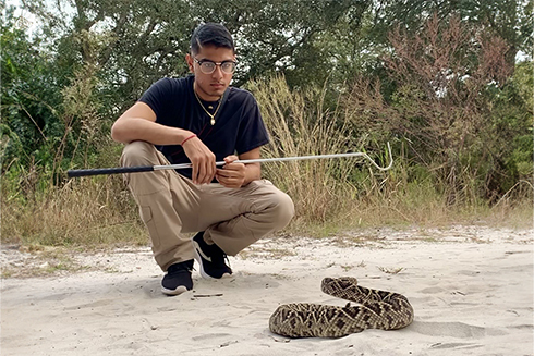 USF graduate student Shiv 'Snakeman' Shukla travels  to field sites to test snakes for Ophidiomyces, a fungus that can cause death in snakes.
