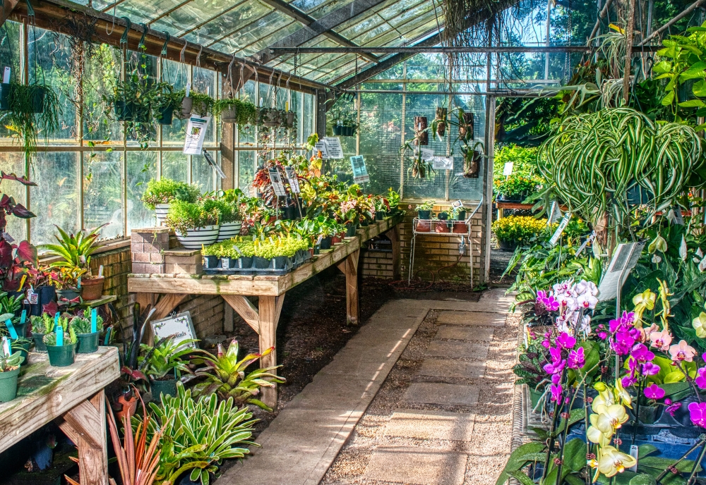 interior of greenhouse at the Botanical Gardens
