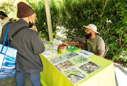 Tabling and demonstrations by local organizations. (Photo by JWS Photographer)