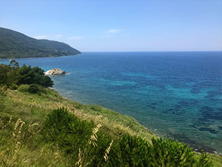 green coastline by blue sea
