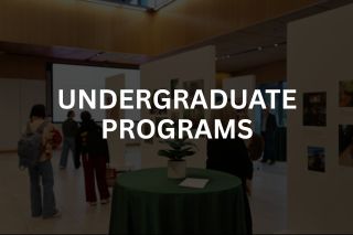 undergraduate programs