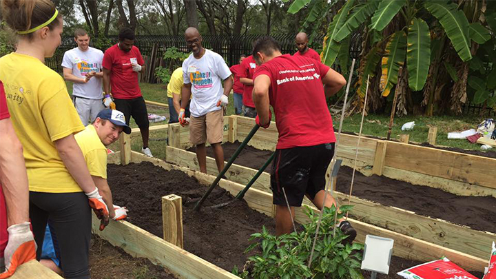 environmental anthropology class helping with a community garden