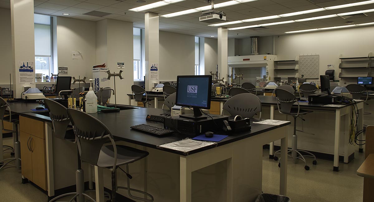 Undergrad labs