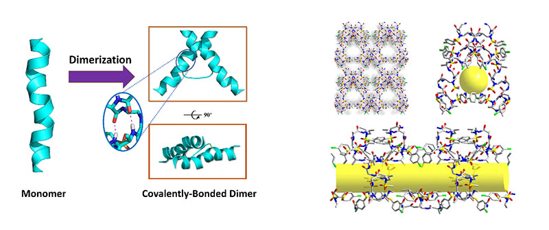 3D supramolecular network of dimer formed through self-assembly