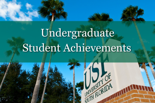 Undergraduate Student Achievements 