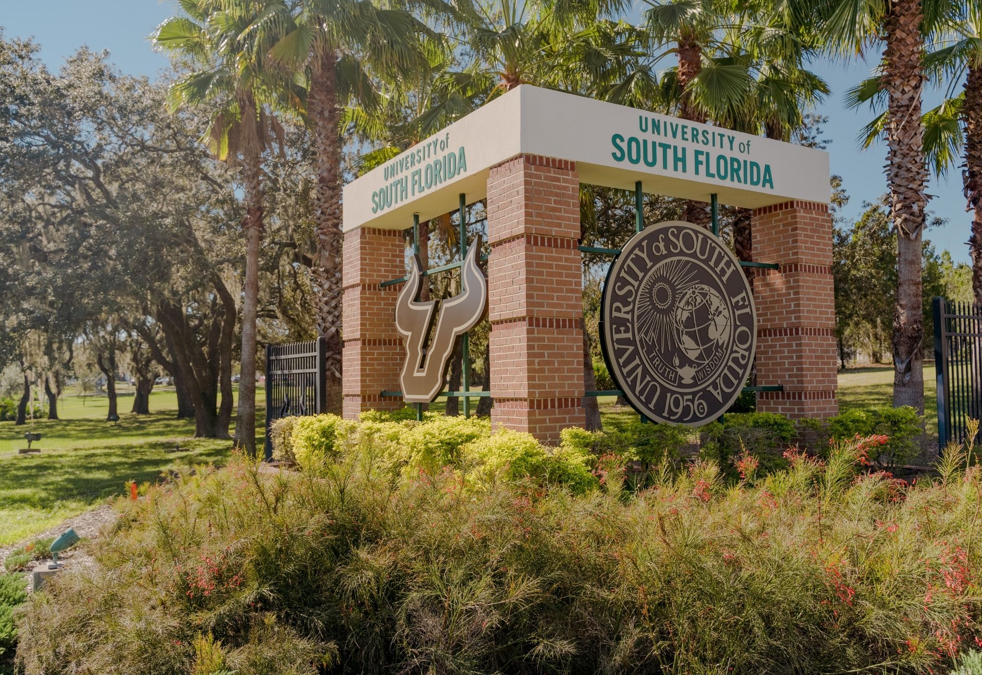 A Record 19 USF Faculty Recognized With Outstanding Research Achievements Awards