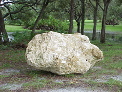Large rock at the USF GeoPark