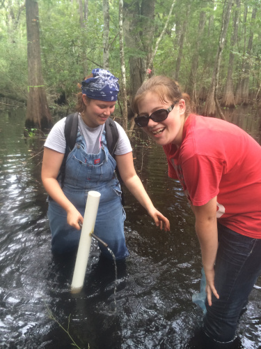 Students sampling wetland soils.