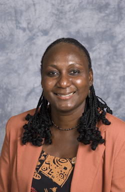 Professor Fenda Akiwumi