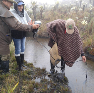 Environmental scientists sample surface water in the field