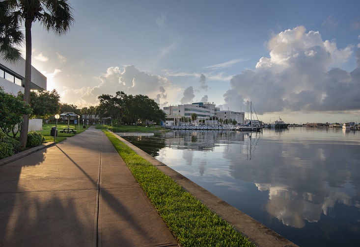 University of South Florida: A Preeminent Research University